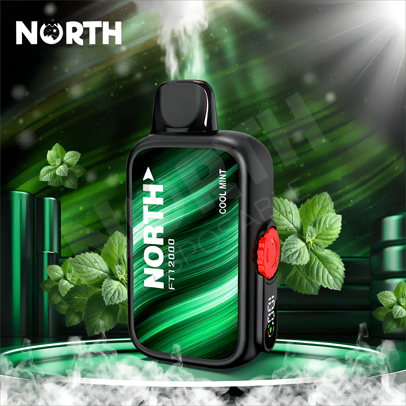 North Vape FT12000 Disposable 12000 Puffs product image showcasing sleek, compact design and long-lasting puff capacity for convenient vaping on the go