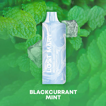 Blackcurrant Mint Lost Mary MO5000 - A refreshing herbal blend with the sweetness of blackcurrant and the coolness of mint